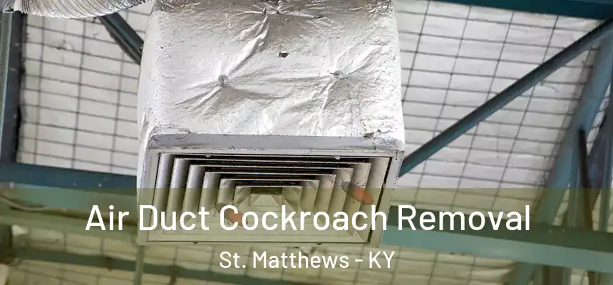  Air Duct Cockroach Removal St. Matthews - KY