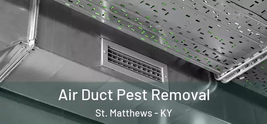  Air Duct Pest Removal St. Matthews - KY