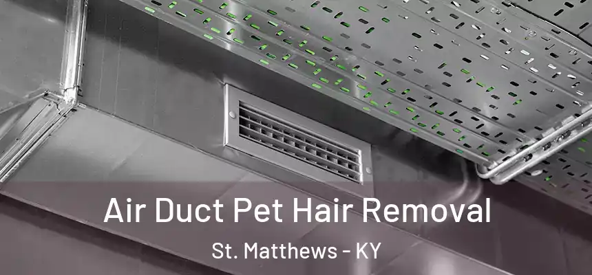  Air Duct Pet Hair Removal St. Matthews - KY