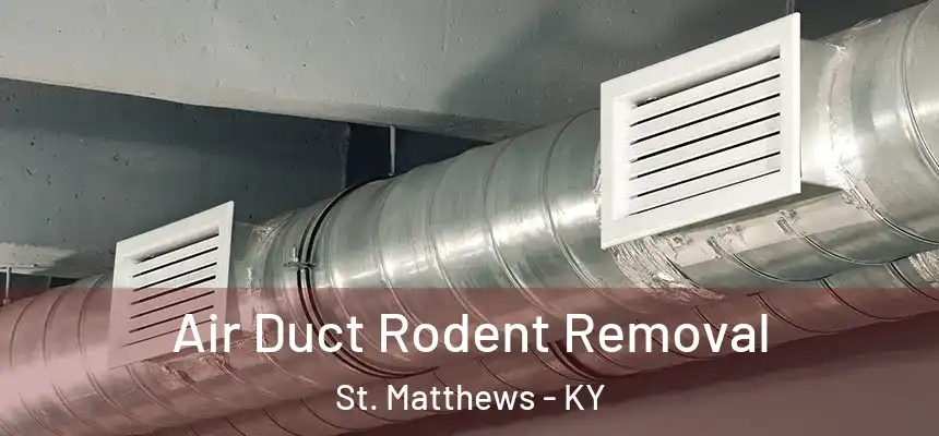  Air Duct Rodent Removal St. Matthews - KY