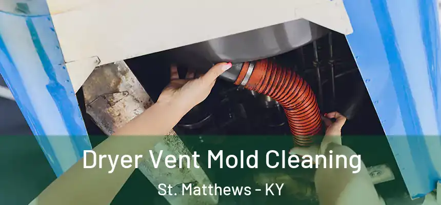  Dryer Vent Mold Cleaning St. Matthews - KY