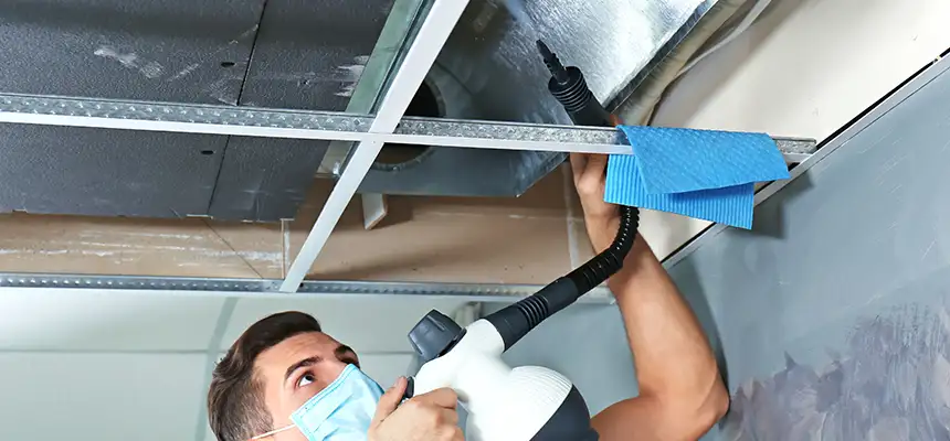 Our Air Duct Rodent Removal Services in St. Matthews, KY