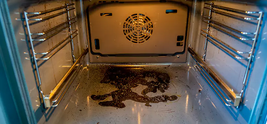 Our Dryer Vent Mold Cleaning Services in St. Matthews, KY