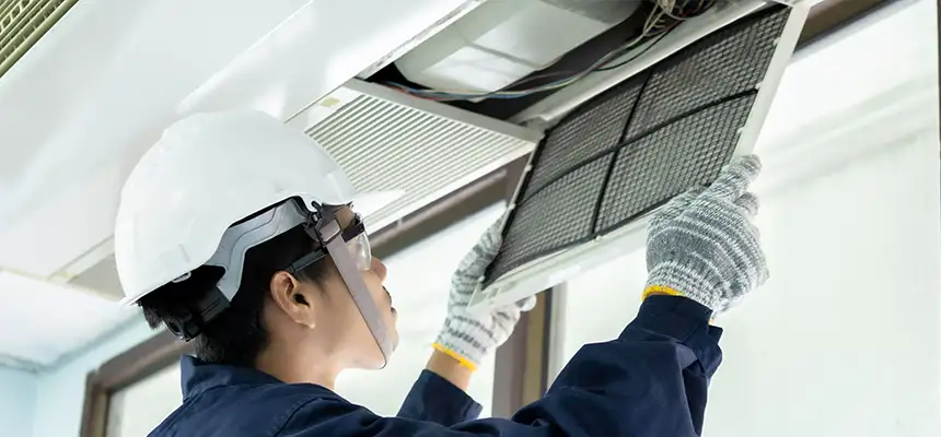 Our Lint Trap Cleaning Service Services in St. Matthews, KY