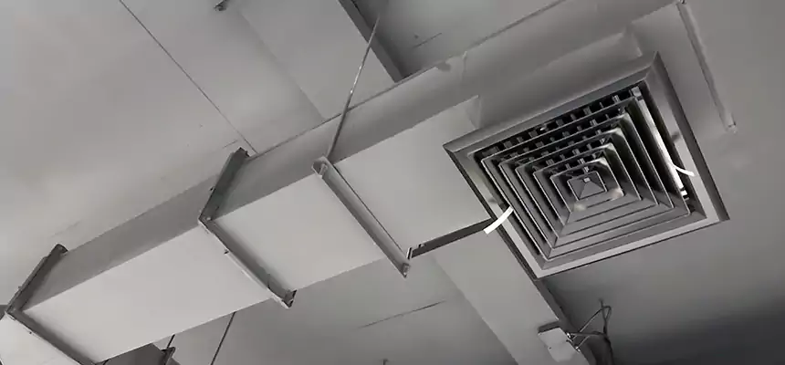 Our Rodent Droppings In Vents Services in St. Matthews, KY