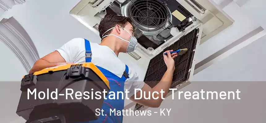  Mold-Resistant Duct Treatment St. Matthews - KY
