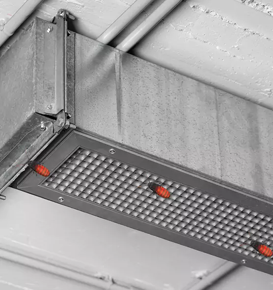 About Air Duct Cockroach Removal in St. Matthews, KY