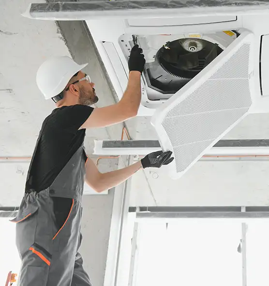 About Air Duct Rodent Removal in St. Matthews, KY