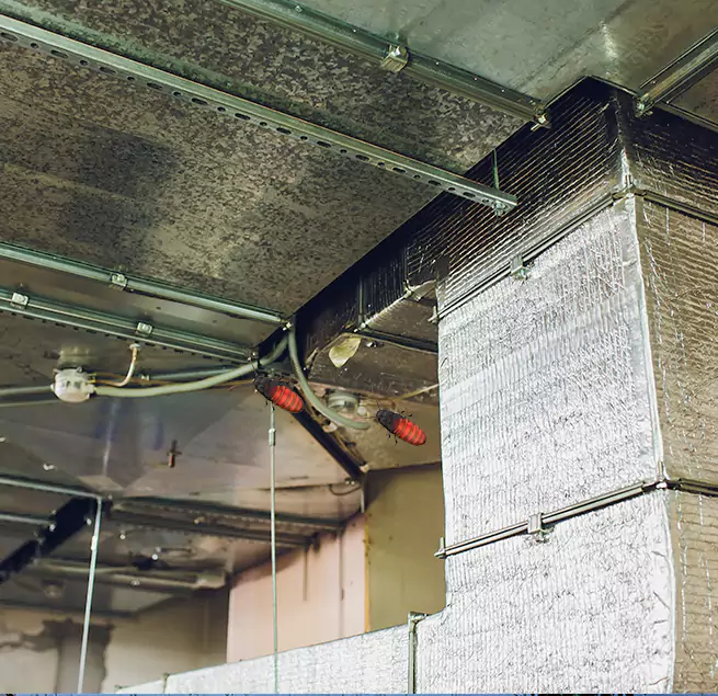 Why Homeowners & Businesses Trust Us in St. Matthews, KY?